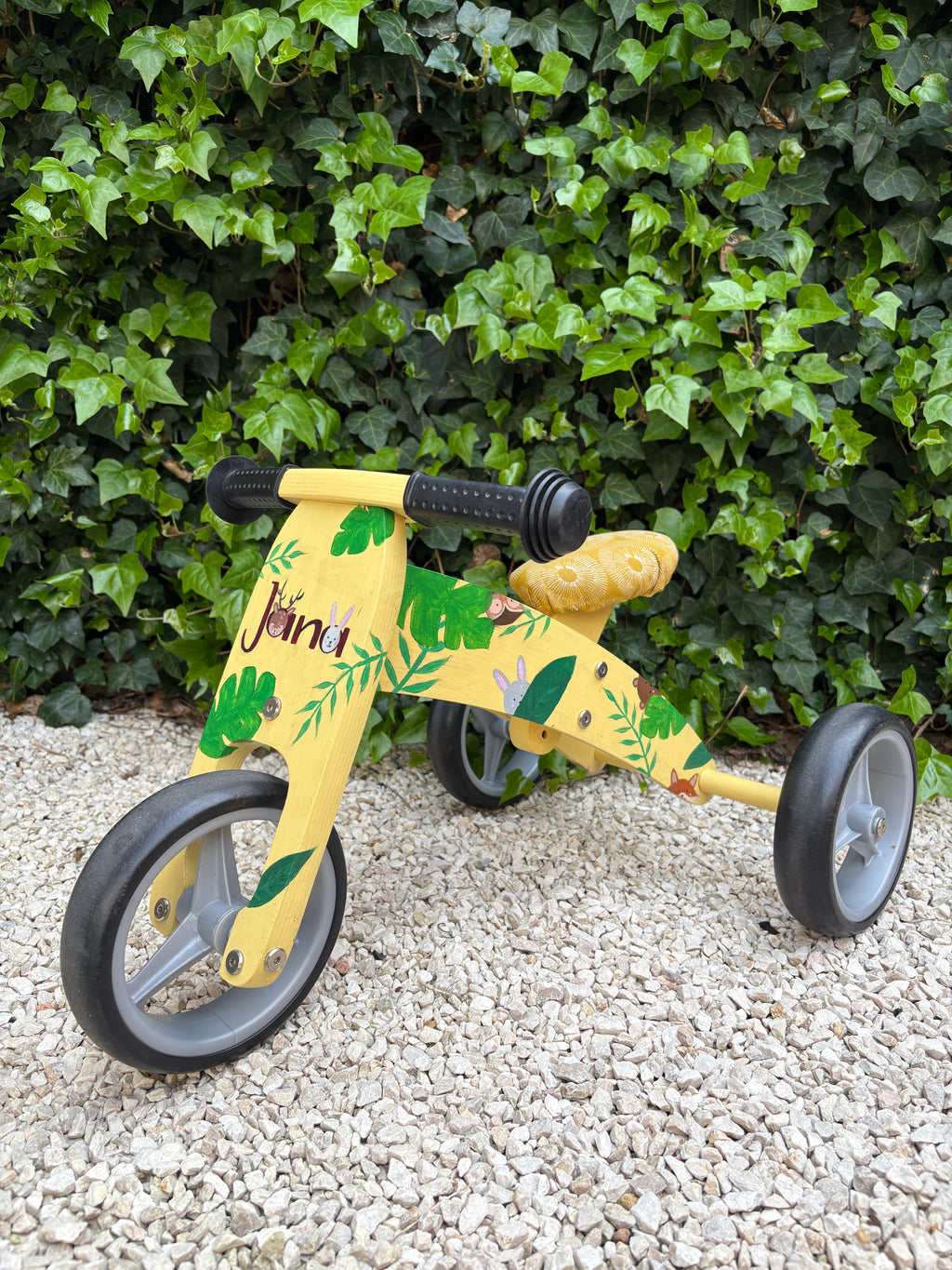 Gepersonaliseerd loopfietsje