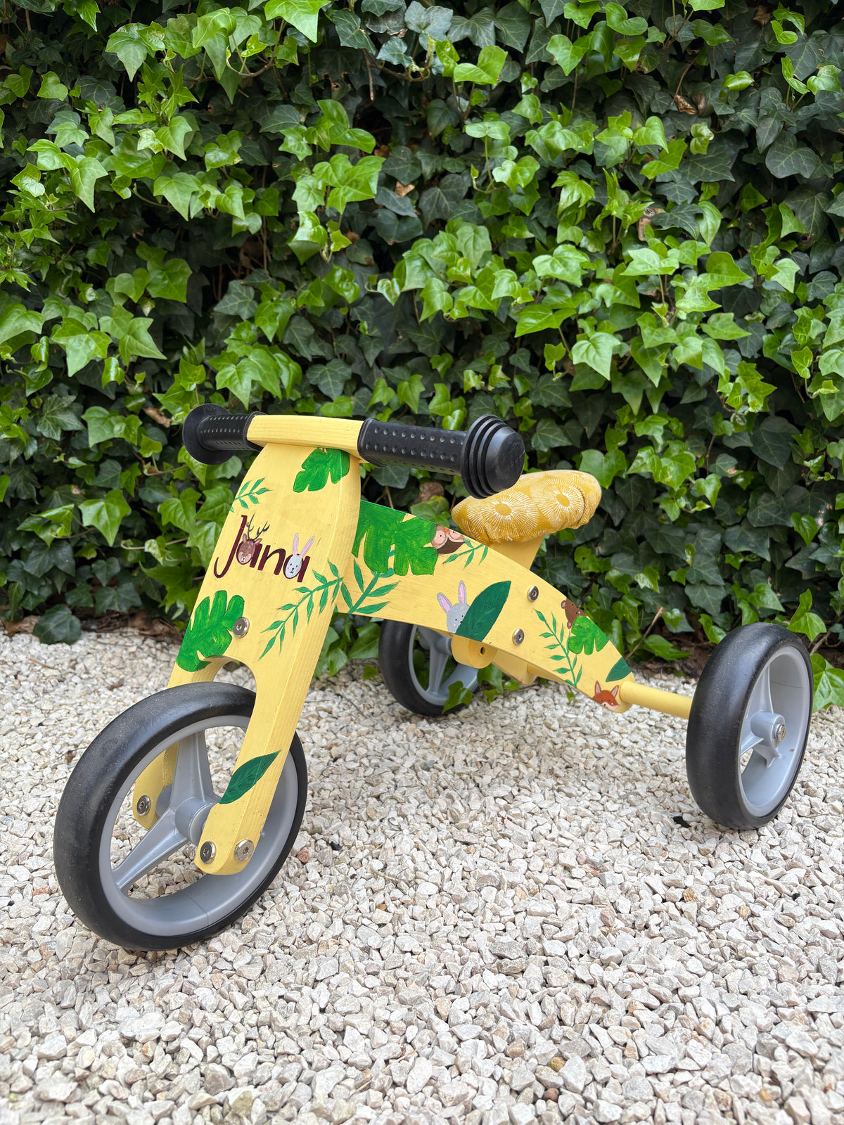 Gepersonaliseerd loopfietsje
